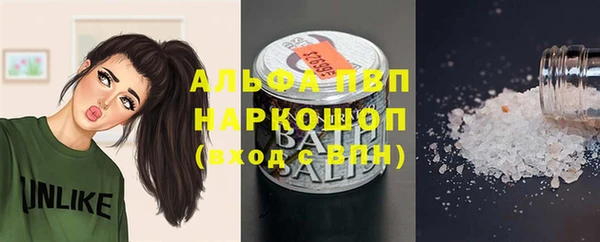 хмурый Аркадак