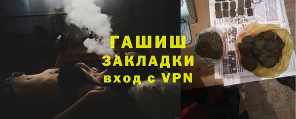 хмурый Аркадак