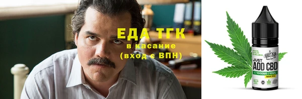 хмурый Аркадак
