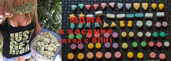 хмурый Аркадак