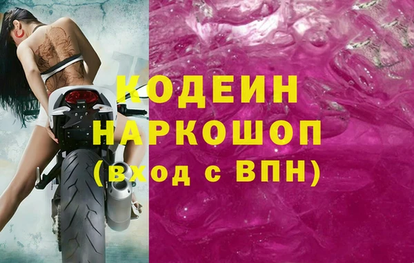 хмурый Аркадак