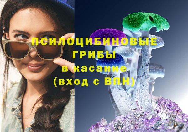 хмурый Аркадак