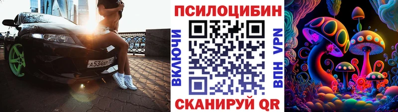 ОМГ ОМГ ТОР  Тырныауз  Псилоцибиновые грибы Magic Shrooms 
